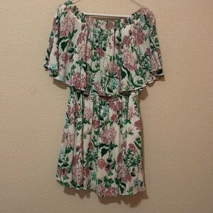 Show Me Your Mumu dress